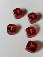 Deadlands: the Weird West - Wild Dice (Set of 5)