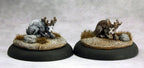 Jackalopes (2)