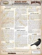 Deadlands Reloaded One Sheet - Scare Crow